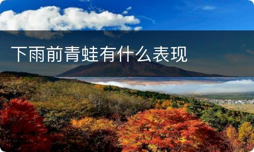 下雨前青蛙有什么表现
