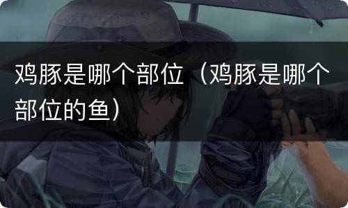 鸡豚是哪个部位（鸡豚是哪个部位的鱼）