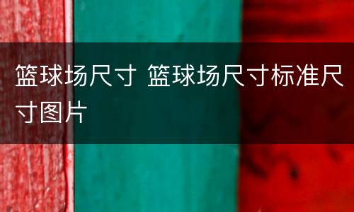篮球场尺寸 篮球场尺寸标准尺寸图片