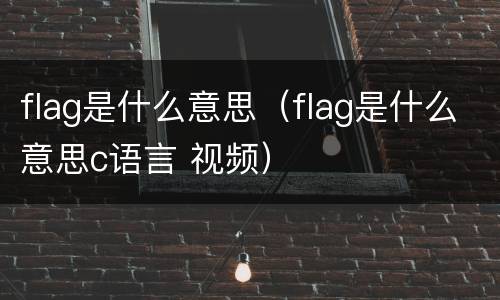 flag是什么意思（flag是什么意思c语言 视频）