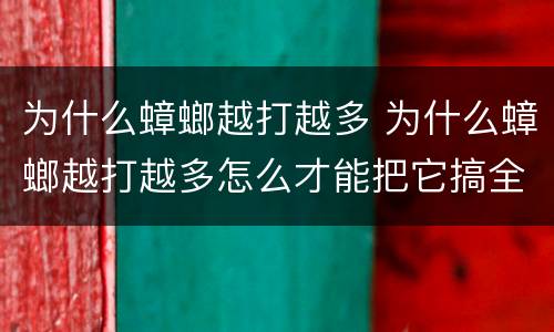 为什么蟑螂越打越多 为什么蟑螂越打越多怎么才能把它搞全部消灭
