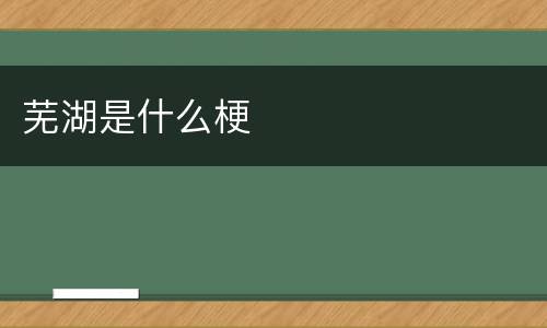 芜湖是什么梗