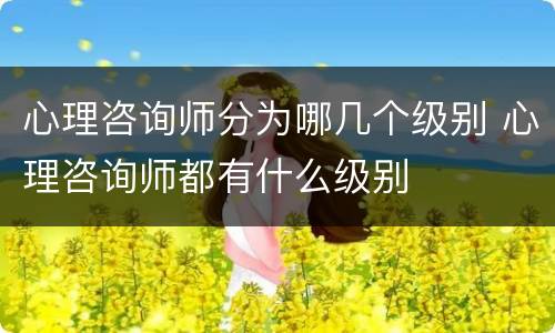 心理咨询师分为哪几个级别 心理咨询师都有什么级别