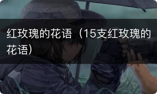 红玫瑰的花语（15支红玫瑰的花语）