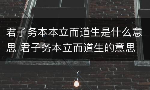 君子务本本立而道生是什么意思 君子务本立而道生的意思