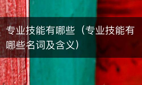 专业技能有哪些（专业技能有哪些名词及含义）