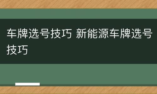 车牌选号技巧 新能源车牌选号技巧