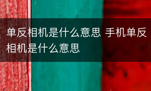 单反相机是什么意思 手机单反相机是什么意思