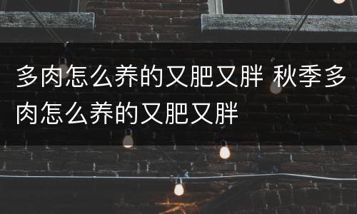 多肉怎么养的又肥又胖 秋季多肉怎么养的又肥又胖