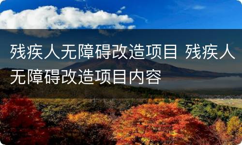 残疾人无障碍改造项目 残疾人无障碍改造项目内容