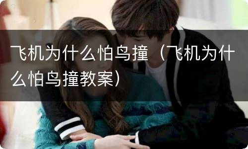 飞机为什么怕鸟撞（飞机为什么怕鸟撞教案）