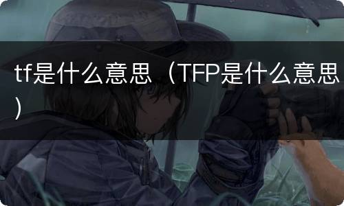 tf是什么意思（TFP是什么意思）