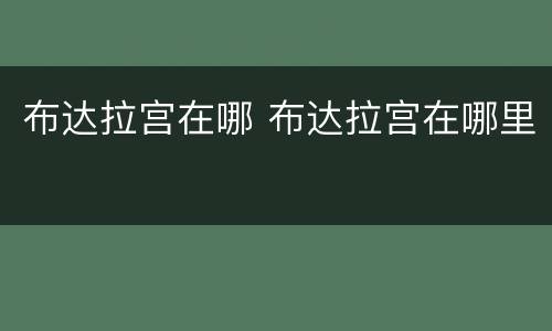 布达拉宫在哪 布达拉宫在哪里