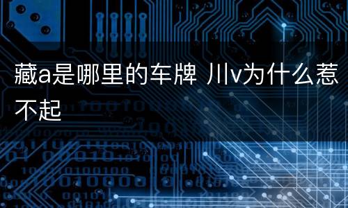 藏a是哪里的车牌 川v为什么惹不起