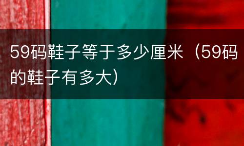 59码鞋子等于多少厘米（59码的鞋子有多大）