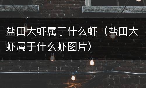盐田大虾属于什么虾（盐田大虾属于什么虾图片）