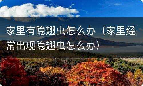 家里有隐翅虫怎么办（家里经常出现隐翅虫怎么办）