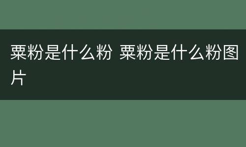粟粉是什么粉 粟粉是什么粉图片