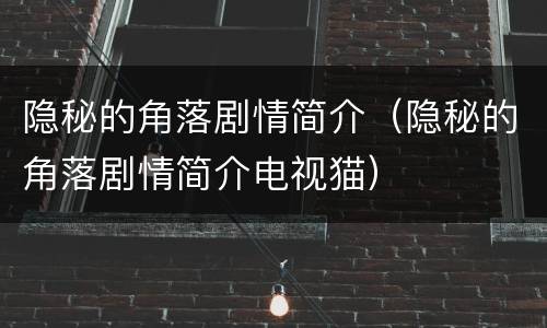 隐秘的角落剧情简介（隐秘的角落剧情简介电视猫）