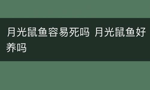 月光鼠鱼容易死吗 月光鼠鱼好养吗