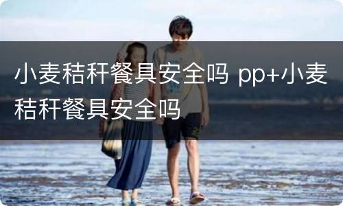 小麦秸秆餐具安全吗 pp+小麦秸秆餐具安全吗