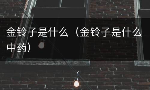 金铃子是什么（金铃子是什么中药）