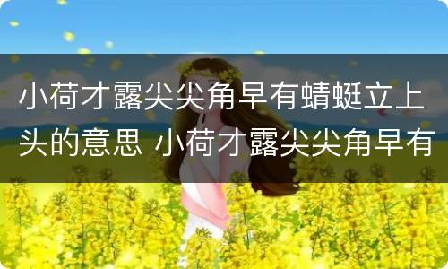 小荷才露尖尖角早有蜻蜓立上头的意思 小荷才露尖尖角早有蜻蜓立上头怎么解释