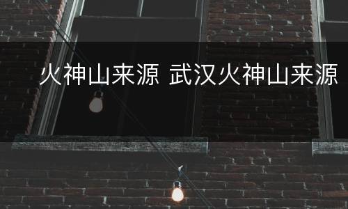 ​火神山来源 武汉火神山来源