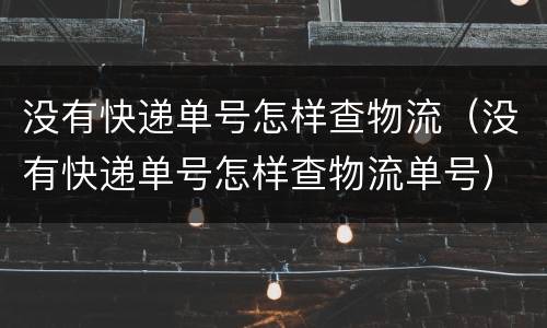 没有快递单号怎样查物流（没有快递单号怎样查物流单号）
