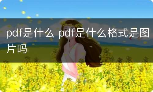 pdf是什么 pdf是什么格式是图片吗