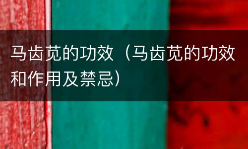马齿苋的功效（马齿苋的功效和作用及禁忌）