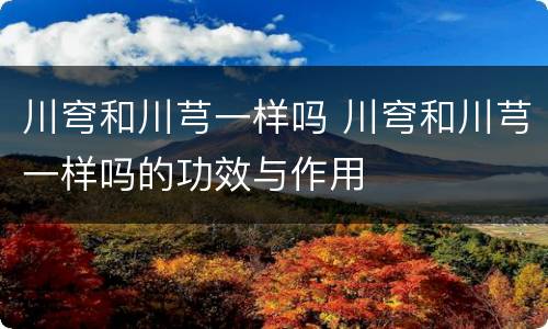 川穹和川芎一样吗 川穹和川芎一样吗的功效与作用