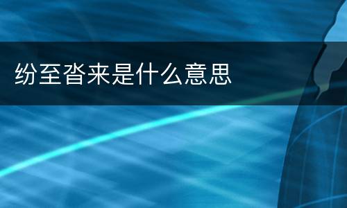 纷至沓来是什么意思