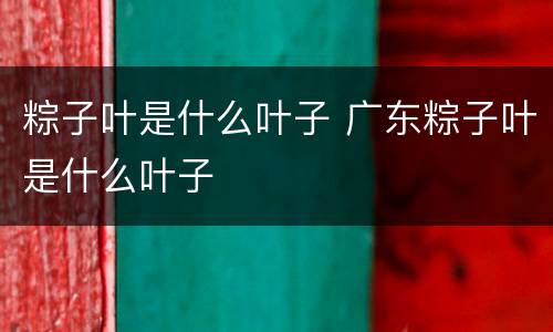 粽子叶是什么叶子 广东粽子叶是什么叶子