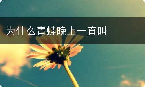 为什么青蛙晚上一直叫
