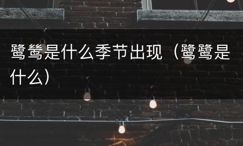 鹭鸶是什么季节出现（鹭鹭是什么）