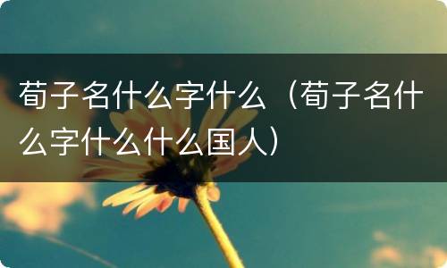 荀子名什么字什么（荀子名什么字什么什么国人）