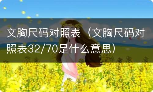 文胸尺码对照表（文胸尺码对照表32/70是什么意思）