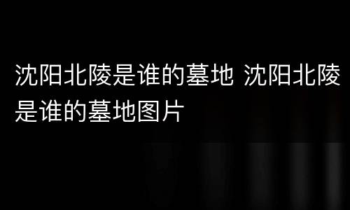 沈阳北陵是谁的墓地 沈阳北陵是谁的墓地图片