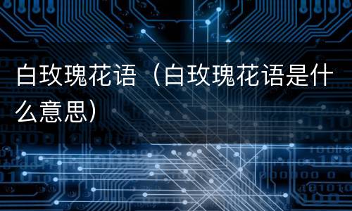 白玫瑰花语（白玫瑰花语是什么意思）