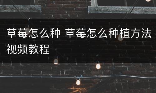 草莓怎么种 草莓怎么种植方法视频教程