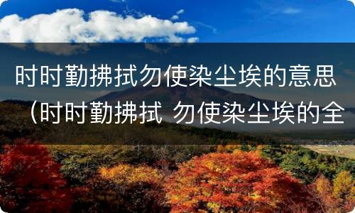 时时勤拂拭勿使染尘埃的意思（时时勤拂拭 勿使染尘埃的全句）