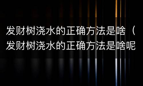 发财树浇水的正确方法是啥（发财树浇水的正确方法是啥呢）