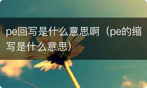 pe回写是什么意思啊（pe的缩写是什么意思）