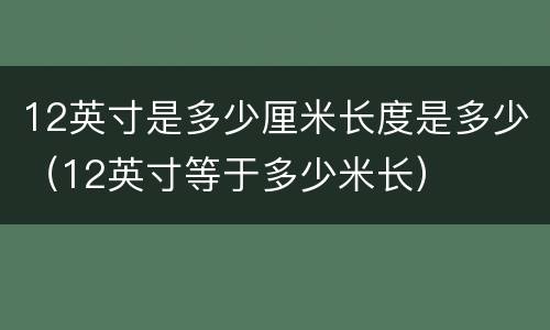 12英寸是多少厘米长度是多少（12英寸等于多少米长）