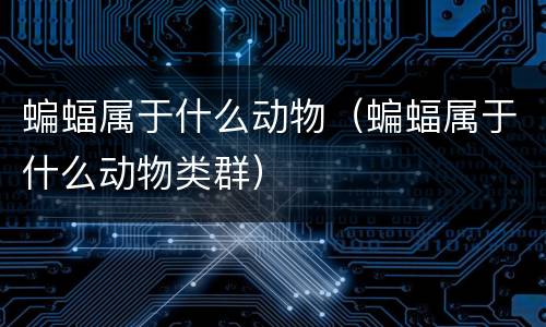 蝙蝠属于什么动物（蝙蝠属于什么动物类群）