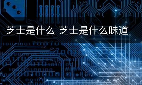 芝士是什么 芝士是什么味道