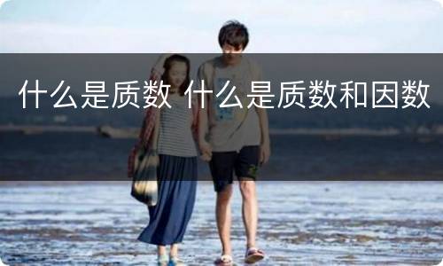 什么是质数 什么是质数和因数