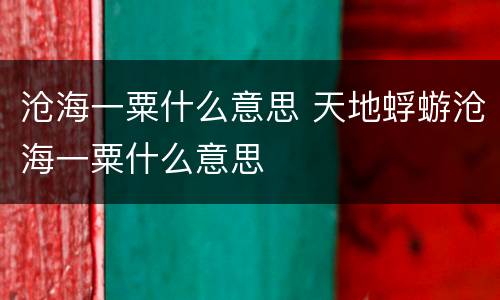 沧海一粟什么意思 天地蜉蝣沧海一粟什么意思