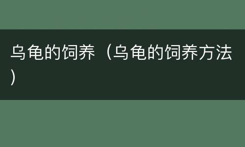 乌龟的饲养（乌龟的饲养方法）